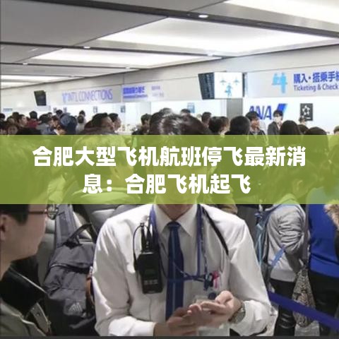 合肥大型飞机航班停飞最新消息:合肥飞机起飞