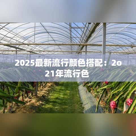 2025最新流行颜色搭配：2o21年流行色 