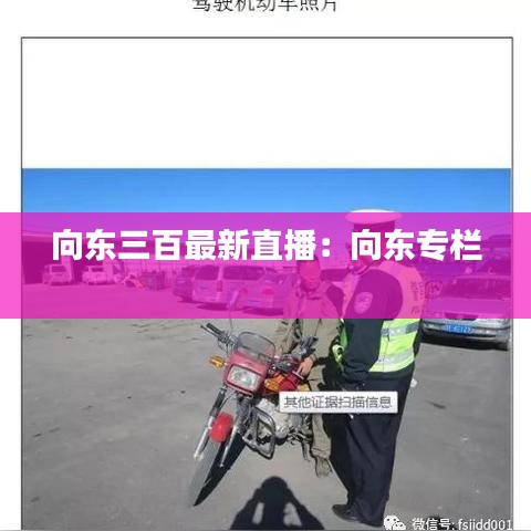 向东三百最新直播:向东专栏
