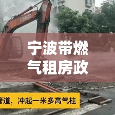 宁波带燃气租房政策最新:宁波 燃气