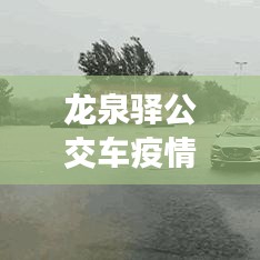 龙泉驿公交车疫情停运最新消息:成都龙泉驿区公交车站电话