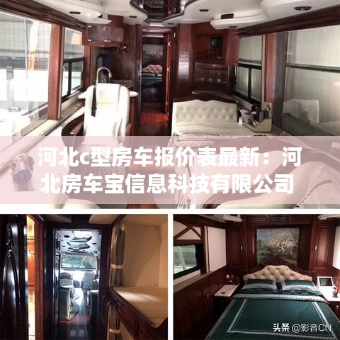 雍容典雅 第5页