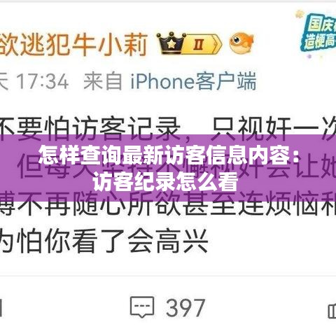 怎样查询最新访客信息内容:访客纪录怎么看