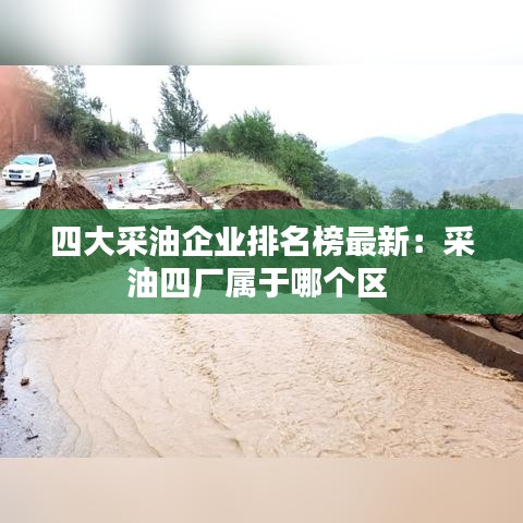 大雅君子 第4页