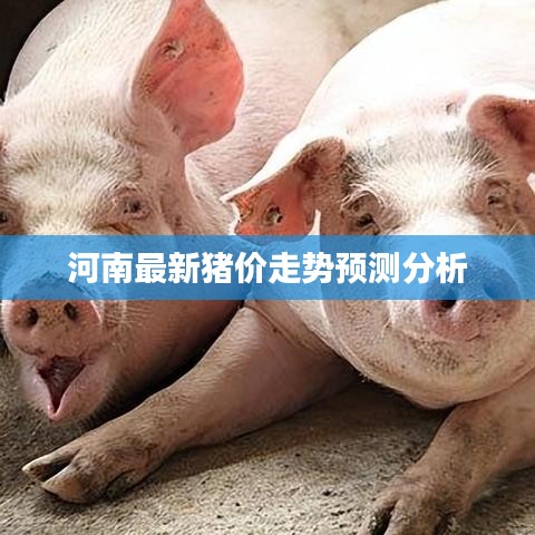河南最新猪价走势预测分析