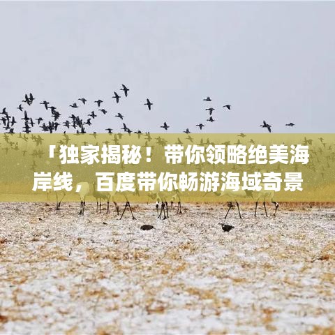 「独家揭秘!带你领略绝美海岸线,百度带你畅游海域奇景」