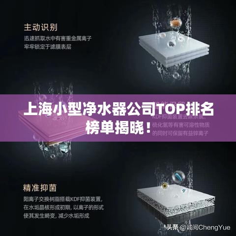 上海小型净水器公司TOP排名榜单揭晓!