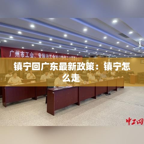 镇宁回广东最新政策:镇宁怎么走