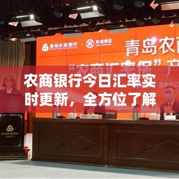 农商银行今日汇率实时更新，全方位了解、应用与比较指南