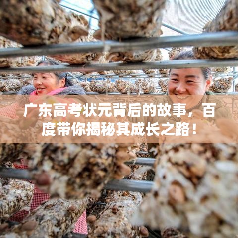 广东高考状元背后的故事，百度带你揭秘其成长之路！