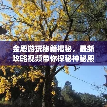 金殿游玩秘籍揭秘，最新攻略视频带你探秘神秘殿堂之旅