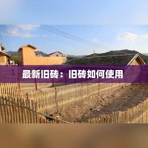 屦贱踊贵 第4页