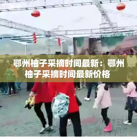 鄂州柚子采摘时间最新：鄂州柚子采摘时间最新价格 