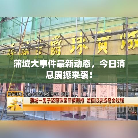 蒲城大事件最新动态,今日消息震撼来袭!