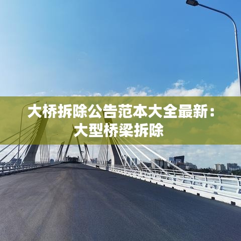 大桥拆除公告范本大全最新：大型桥梁拆除 