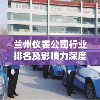 兰州仪表公司行业排名及影响力深度解析