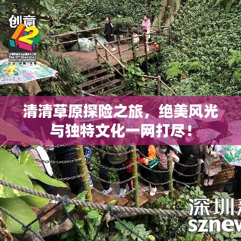 清清草原探险之旅,绝美风光与独特文化一网打尽!