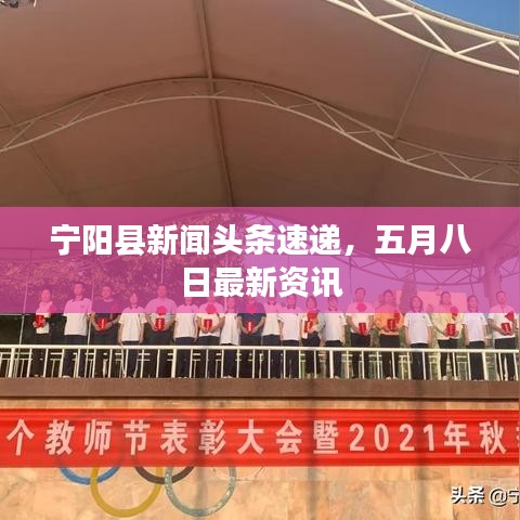 宁阳县新闻头条速递，五月八日最新资讯