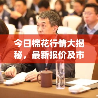 今日棉花行情大揭秘，最新报价及市场动态查询