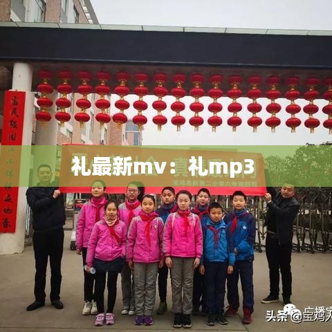 笨鸟先飞 第5页