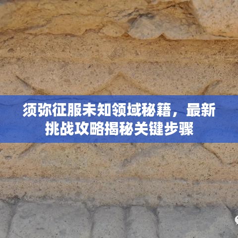 须弥征服未知领域秘籍，最新挑战攻略揭秘关键步骤