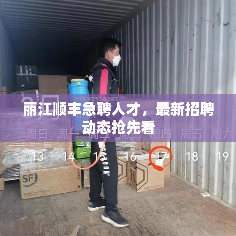 丽江顺丰急聘人才,最新招聘动态抢先看