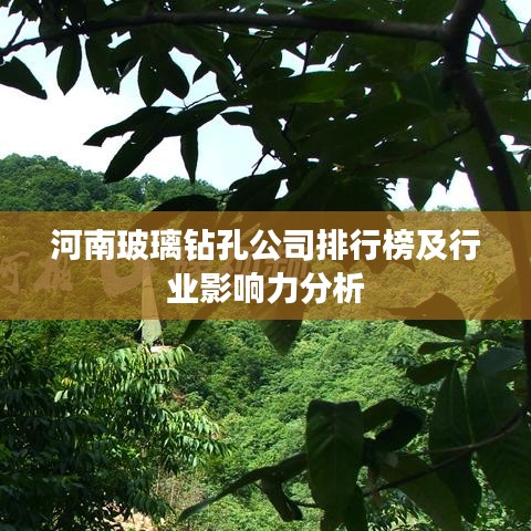 河南玻璃钻孔公司排行榜及行业影响力分析