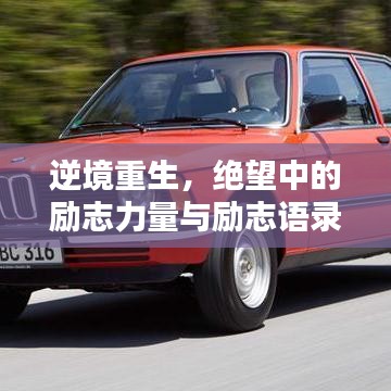 逆境重生，绝望中的励志力量与励志语录启示