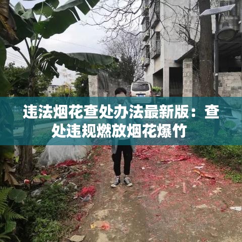 违法烟花查处办法最新版:查处违规燃放烟花爆竹