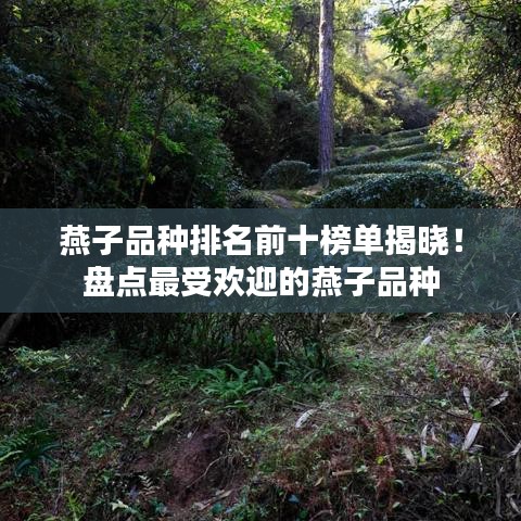 燕子品种排名前十榜单揭晓!盘点最受欢迎的燕子品种