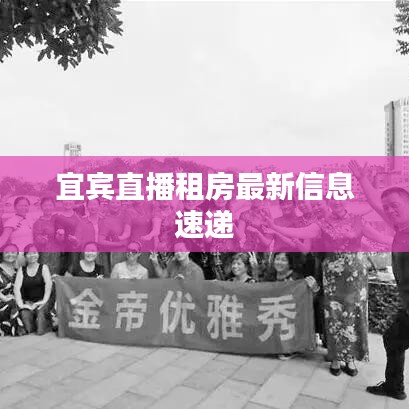 鸟骇鼠窜 第4页