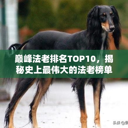 巅峰法老排名TOP10，揭秘史上最伟大的法老榜单