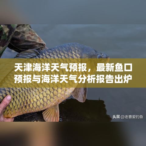 荣华富贵 第4页