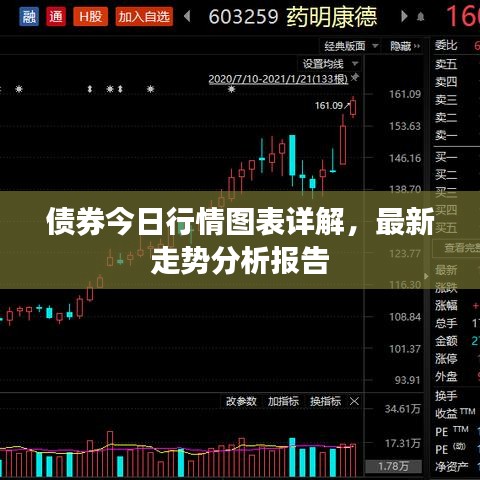 债券今日行情图表详解,最新走势分析报告