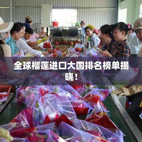 马马虎虎 第4页