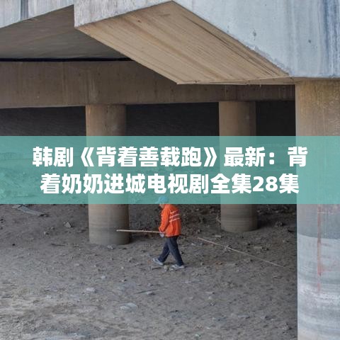 韩剧《背着善载跑》最新：背着奶奶进城电视剧全集28集 