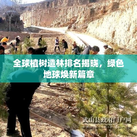 全球植树造林排名揭晓,绿色地球焕新篇章