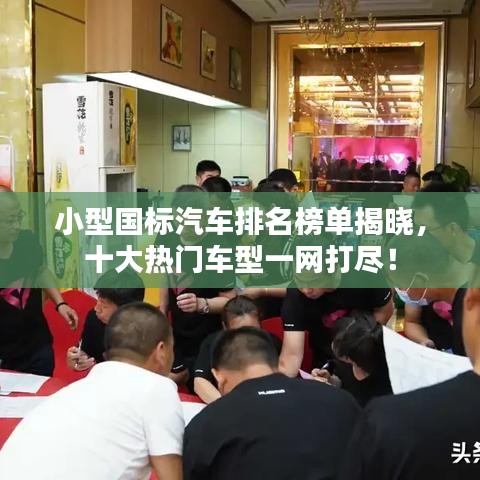 小型国标汽车排名榜单揭晓,十大热门车型一网打尽!