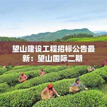 望山建设工程招标公告最新:望山国际二期