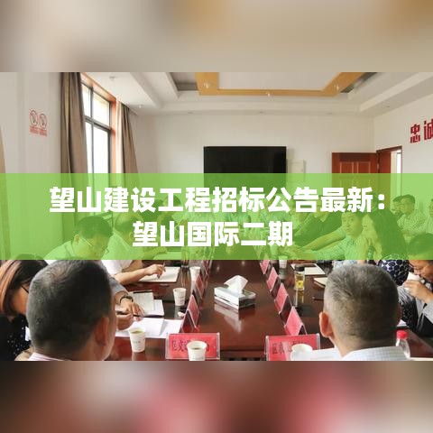 望山建设工程招标公告最新:望山国际二期
