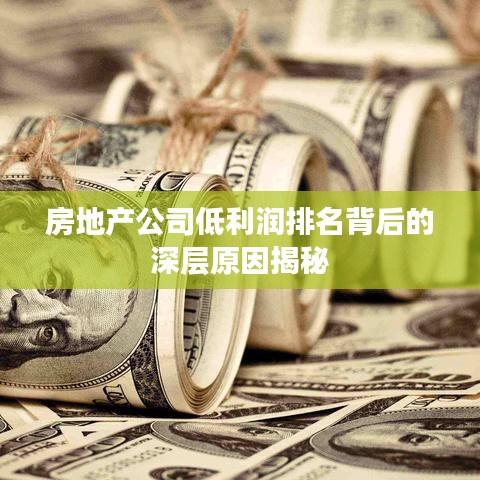 房地产公司低利润排名背后的深层原因揭秘