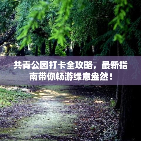 共青公园打卡全攻略，最新指南带你畅游绿意盎然！