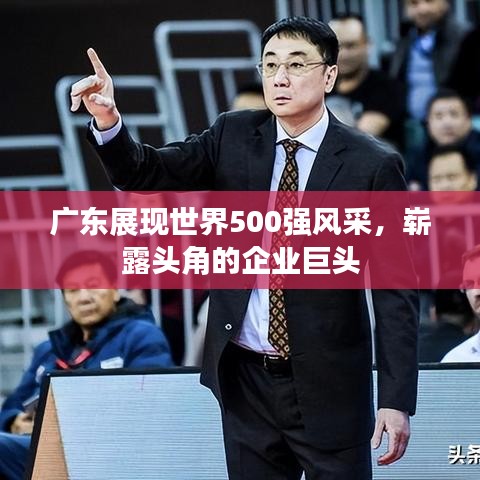 广东展现世界500强风采,崭露头角的企业巨头