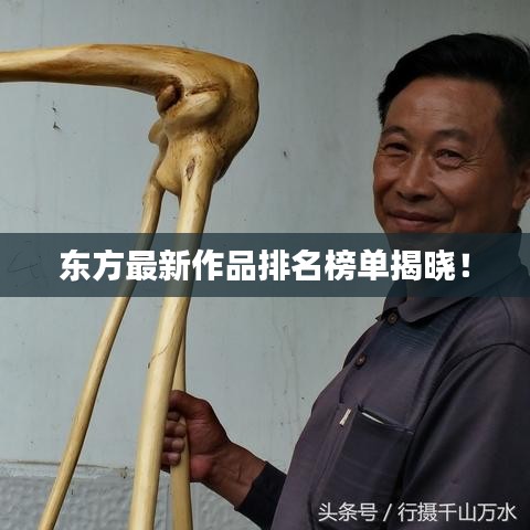 东方最新作品排名榜单揭晓！