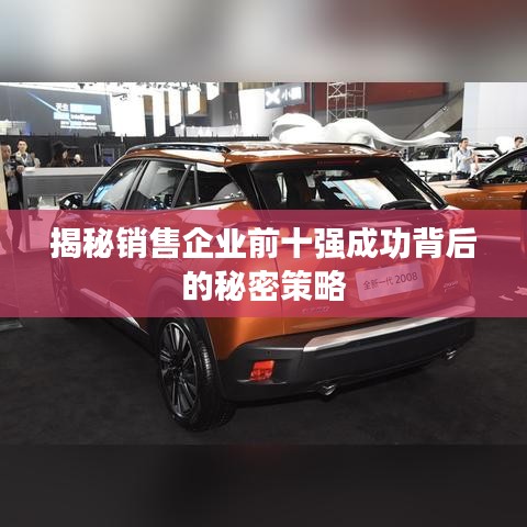 揭秘销售企业前十强成功背后的秘密策略
