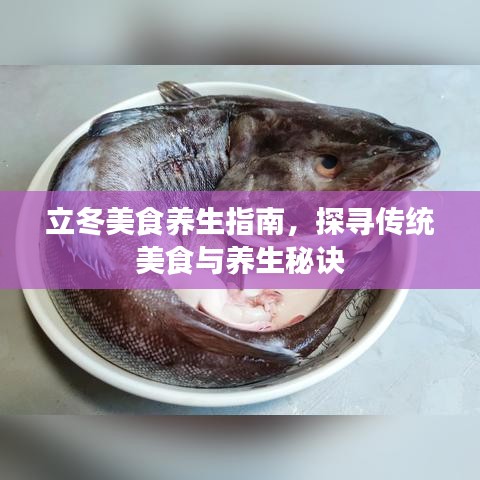 立冬美食养生指南，探寻传统美食与养生秘诀