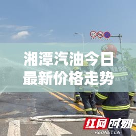 湘潭汽油今日最新价格走势通知