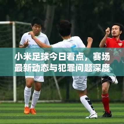 小米足球今日看点,赛场最新动态与犯罪问题深度探讨