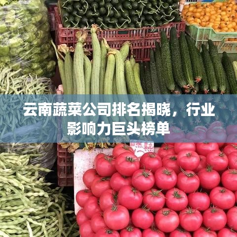 云南蔬菜公司排名揭晓，行业影响力巨头榜单