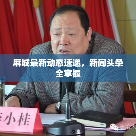 麻城最新动态速递，新闻头条全掌握